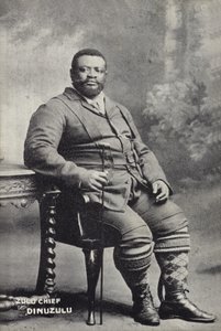 Cetshwayo kaMpande, Koning van de Zulu natie