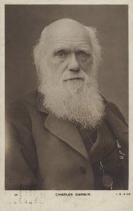 Charles Darwin (1809-1882), Engelse natuuronderzoeker door English Photographer