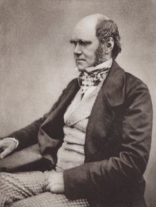 Charles Darwin, portret, ca. 1854, van een foto door Maull & Fox door English Photographer