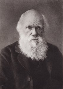 Charles Darwin, portret, ca. 1880 door English Photographer