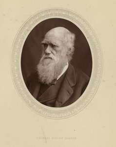 Charles Robert Darwin door English Photographer