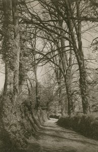 Cockington Lane, Devonshire, nabij Torquay