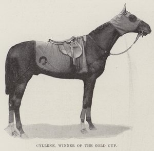 Cyllene, winnaar van de Gold Cup door English Photographer