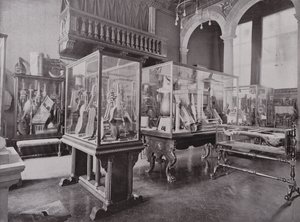 Donaldson Museum, Royal College of Music door English Photographer
