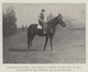 Endurance-by-Right, het grootste Amerikaanse merrieveulen van 1901, gekocht door Mr Whitney voor 40.000 dollar door English Photographer