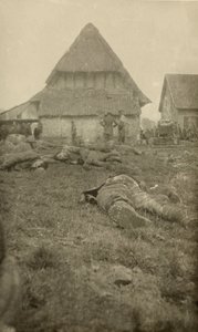 Uit een album van 134 foto