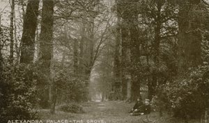 Algemeen uitzicht op The Grove bij Alexandra Palace door English Photographer