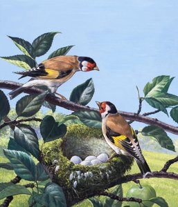 Puttertjes