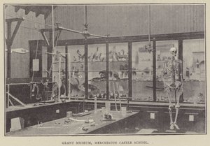 Grant Museum, Merchiston Castle School (gravure)