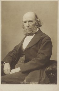 Herbert Spencer (1820-1903), Engelse filosoof, politiek theoreticus, bioloog en socioloog door English Photographer