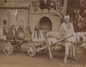 Paardenkar, Caïro, 1893 door English Photographer