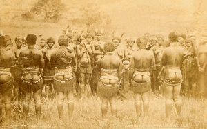 Inheemse Afrikaanse bruiloftsfeest