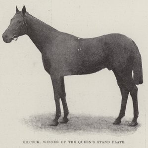 Kilcock, winnaar van de Queens Stand Plate door English Photographer