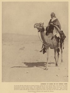 Lawrence of Arabia op zijn beroemde kameel door English Photographer