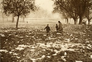 Met afval bezaaid gras op Hampstead Heath de dag na een Bank Holiday, uit Wonderful London, gepubliceerd 1926-27 door English Photographer