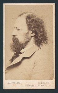 Lord Tennyson, visitekaartje