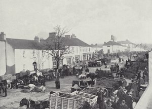 Marktdag in Abbeyleix door English Photographer
