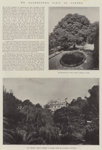 Het bezoek van Mr Gladstone aan Cannes