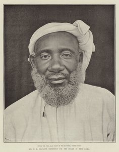 De expeditie van de heer H M Stanley voor de redding van Emin Pasha