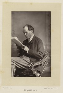 Meneer James Payn door English Photographer