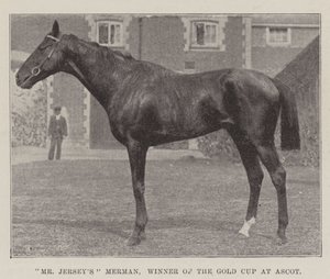 De heer Jerseys Merman, winnaar van de Gold Cup in Ascot door English Photographer