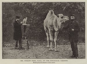 De heer Onslow Ford, ARA, in de dierentuin door English Photographer