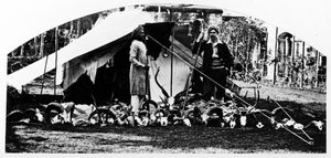 Mijn Indiase jachttrofeeën, ca. 1870s door English Photographer
