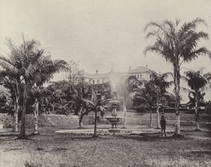 Palmen en Fontein, Botanische Tuinen, Brisbane door English Photographer