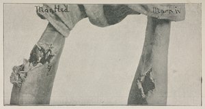 Foto uit het essay 