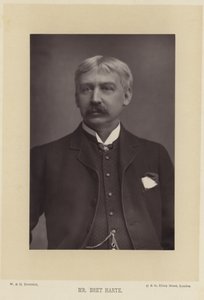 Portret van Bret Harte