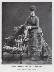 Koningin Alexandra en twee van haar honden