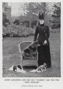 Koningin Alexandra met haar hond, Plumpie, en haar twee King Charles spaniels door English Photographer