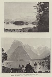 Landschap van West-Otago, op het Zuidereiland van Nieuw-Zeeland