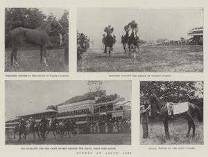 Scènes in Ascot, 1901 door English Photographer
