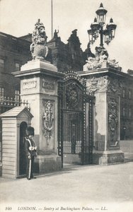 Wacht bij Buckingham Palace door English Photographer