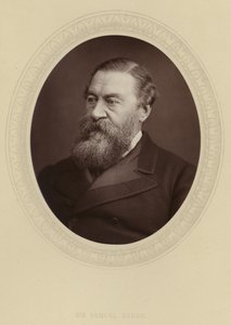 Sir Samuel Baker door English Photographer