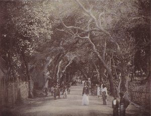 Skinners Road, Colombo door English Photographer