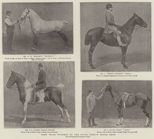 Enkele Prijswinnaars op de Koninklijke Dublin Paardenshow door English Photographer