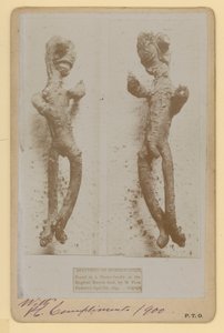 Specimen van Mierikswortel door English Photographer