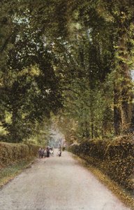 Spencer Weg, Ryde door English Photographer