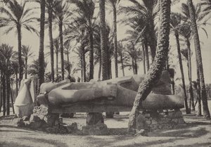 Standbeeld van Ramses II, liggend in de stad waarvan Jeremia zei dat ze zonder inwoners zou zijn