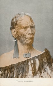 Tangata Maori Hoofd