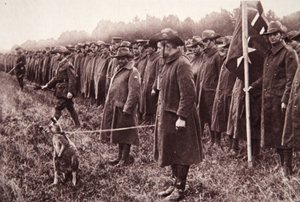 De Anzac-review op Salisbury Plain: een Australische mascotte door English Photographer