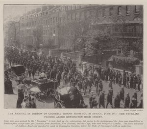 De Aankomst in Londen van Koloniale Troepen uit Zuid-Afrika, 26 juni, de Veteranen die langs Kensington High Street trekken door English Photographer