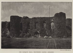 De banketzaal, Kasteel Beaumaris, Anglesey door English Photographer