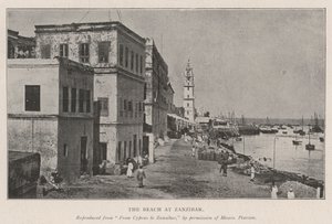 Het Strand van Zanzibar door English Photographer