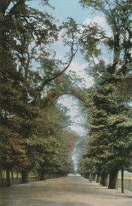 De Brede Wandelweg