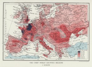 De Belangrijkste Graanproducerende Gebieden, Europa door English Photographer