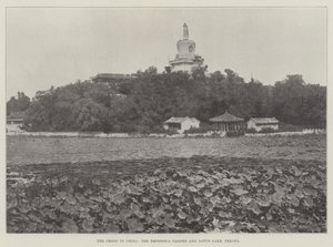 De crisis in China, de keizerstuin en Lotusmeer, Peking door English Photographer