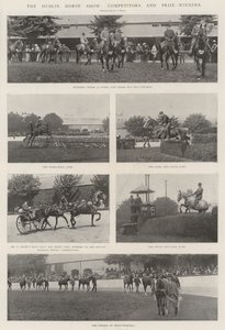 De Dublin Paardenshow, Deelnemers en Prijswinnaars door English Photographer